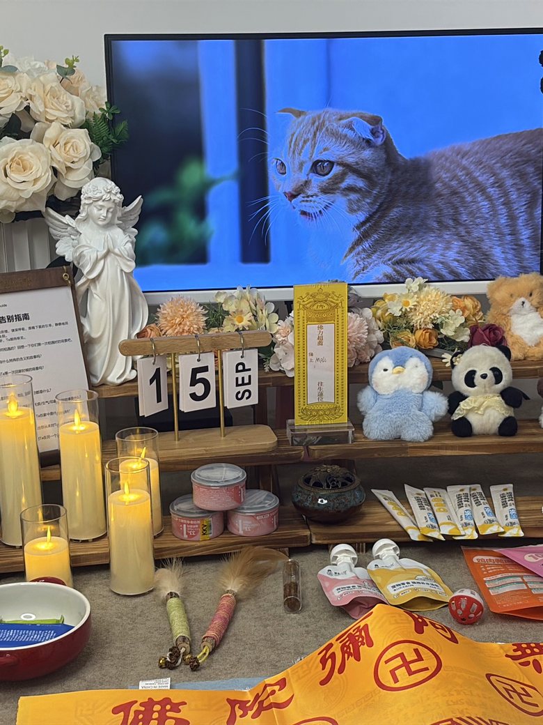 六安宠物殡葬门店告别厅环境
